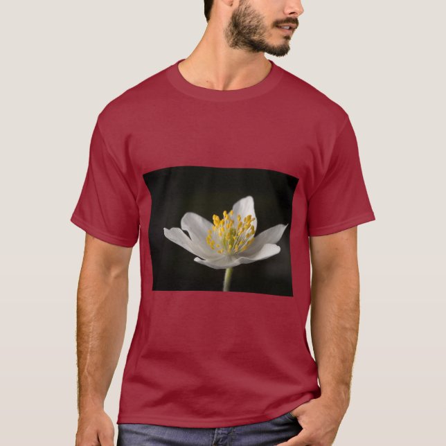 Camiseta Derweg Minimalist Nature Tee (Frente)