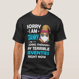 Camiseta Desculpe Estou Irritado Estou Passando Por Meu Ter