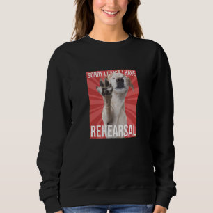 Camiseta Desculpe, não posso ensaiar teatro de drama musica