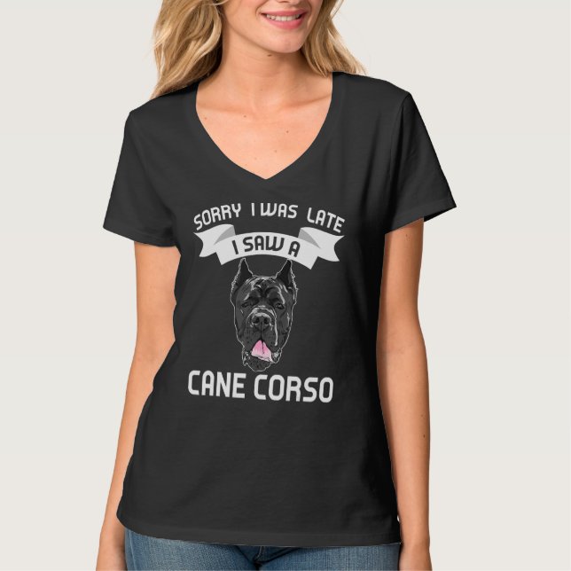 Camiseta Desculpe O Atraso Que Vi Uma Cane Corso (Frente)