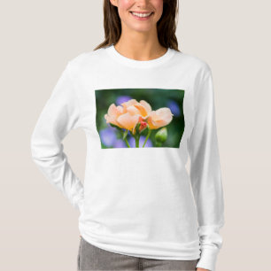 Camiseta desejo desabrochando