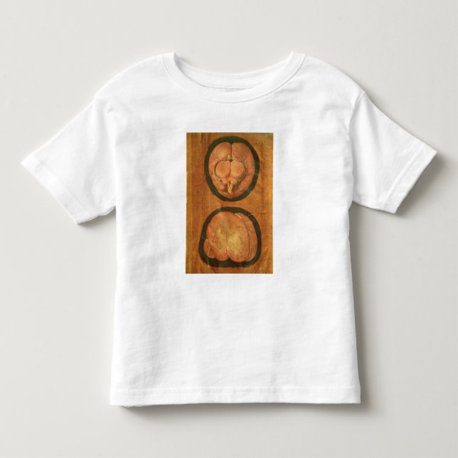 Camiseta Desenho anatômico do cérebro humano (Frente)