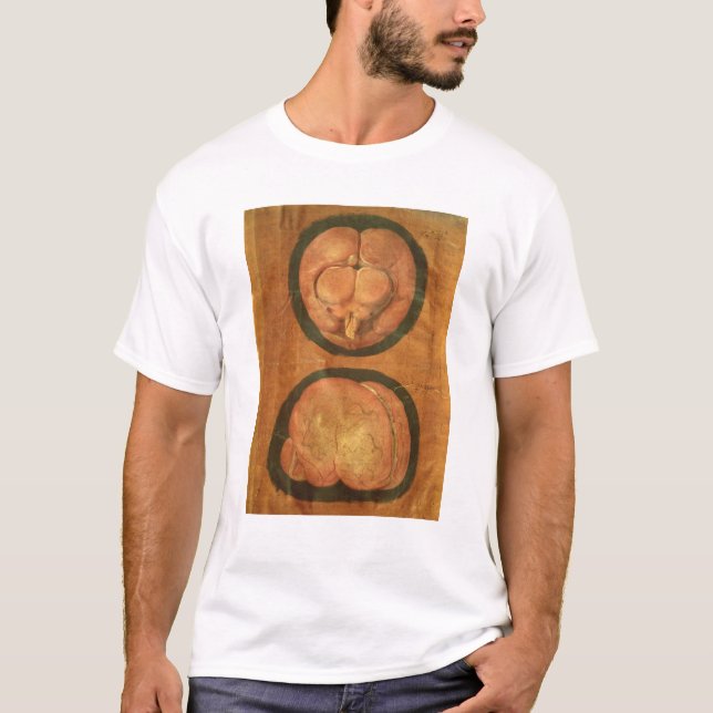Camiseta Desenho anatômico do cérebro humano (Frente)