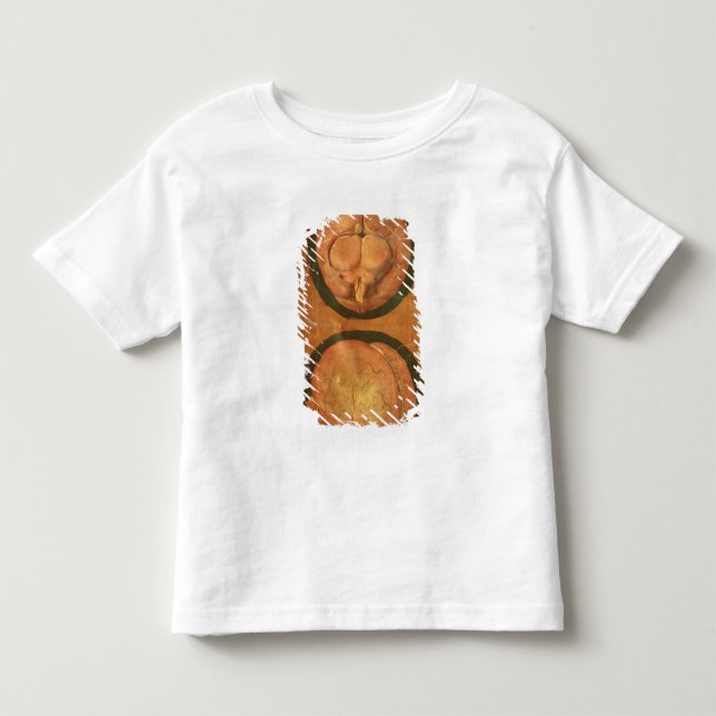 Camiseta Desenho anatômico do cérebro humano (Frente)