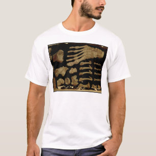Camiseta Desenho anatômico dos ossos do pé