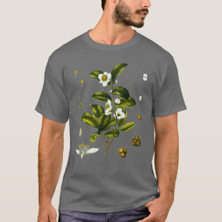 Camiseta Desenho biológico da planta do chá Camellia Sinens
