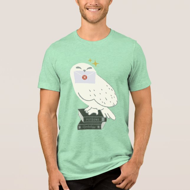 Camiseta Desenho Caprichoso da Hedwig com Carta (Frente)