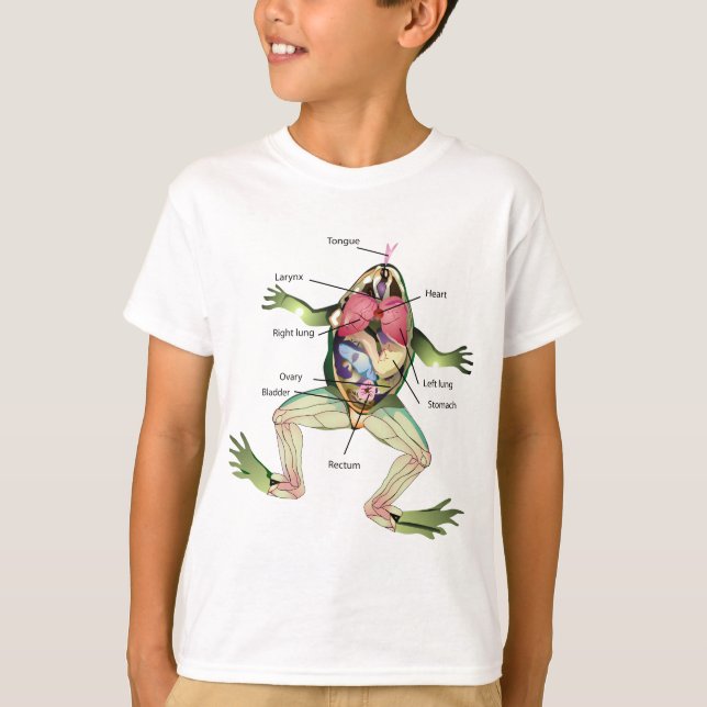 Camiseta Desenho da Ilustração da Anatomia do Sapo (Frente)