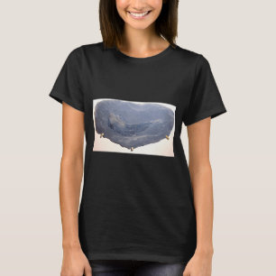 Camiseta Desenho de Peixe Antigo