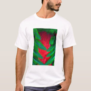 Camiseta desenho de pena de Quetzal Resplandecente