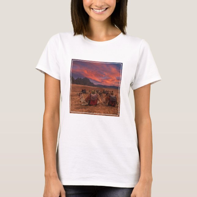 Camiseta Desertos | Camels Sinai Mounts Egito (Frente)