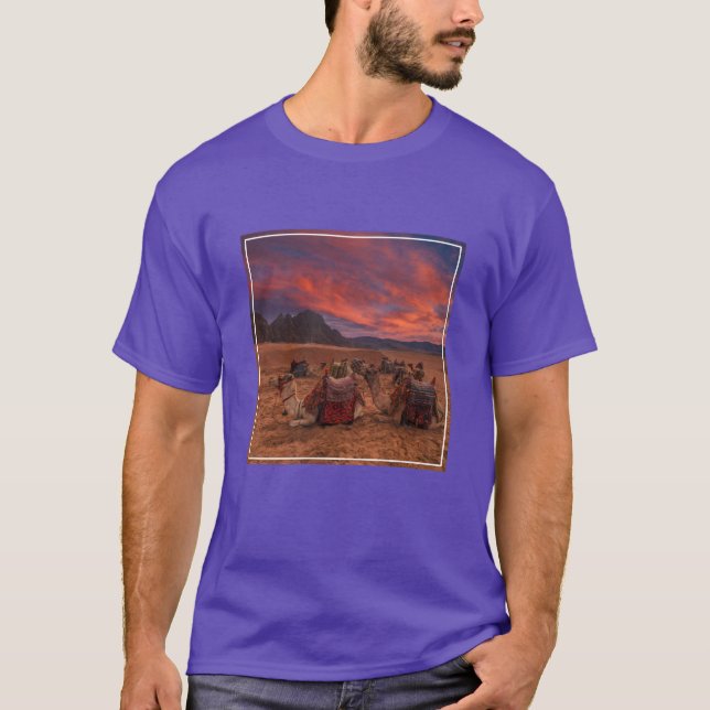 Camiseta Desertos | Camels Sinai Mounts Egito (Frente)
