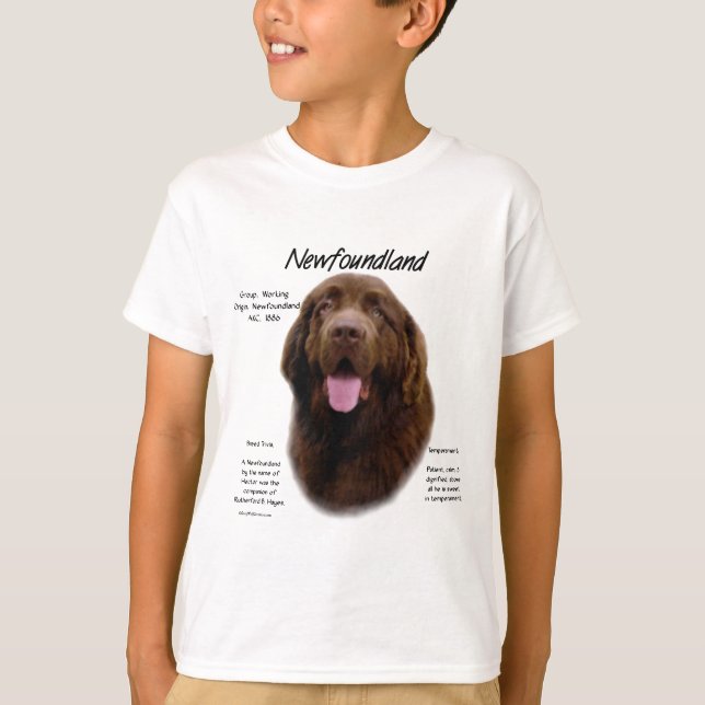 Camiseta Design de História da Terra Nova (Brown) (Frente)
