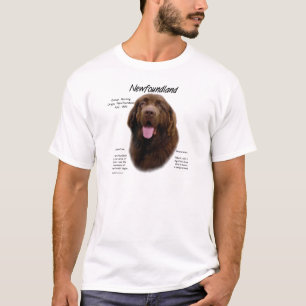 Camiseta Design de História da Terra Nova (Brown)
