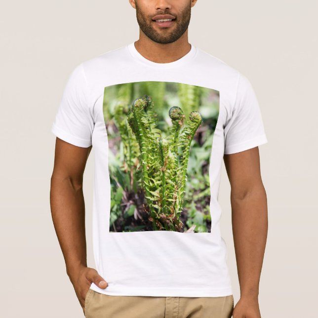 Camiseta Despertar de samambaia jovem no jardim  (Frente)