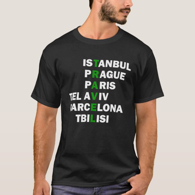 Camiseta destinos de viagem (Frente)