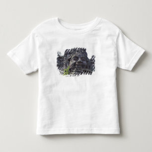 Camiseta Detalhe da face do Gopuram da Torre Oeste),