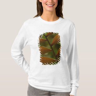 Camiseta Detalhe da palma de debaixo da história. Floresta