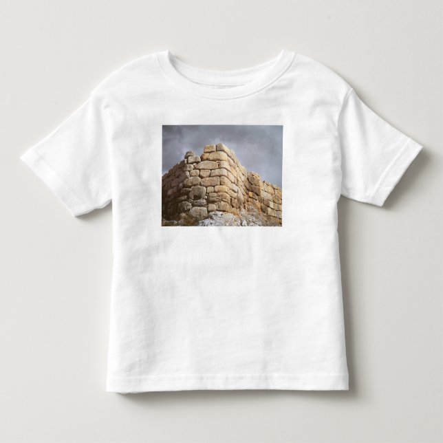 Camiseta Detalhe de uma parede de pedra (Frente)