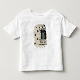 Camiseta Detalhe do exterior das casas de la Conchas