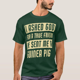 Camiseta Deus Me Enviou Um Porco De Guiné Engraçado