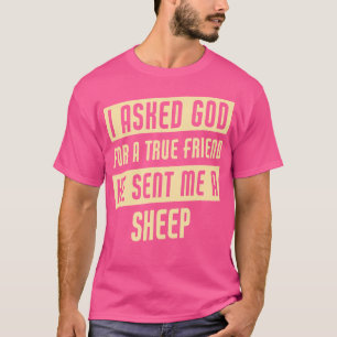 Camiseta Deus Me Enviou Uma Ovelha Engraçada
