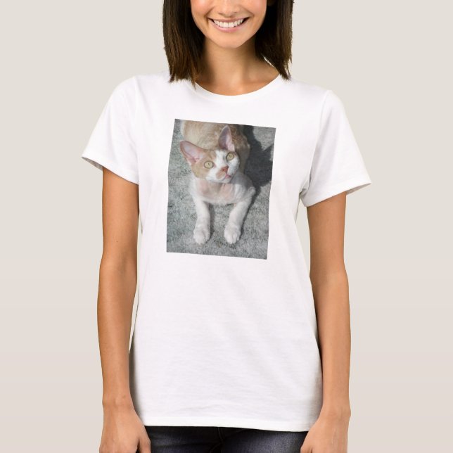 Camiseta devon rex fofo (Frente)