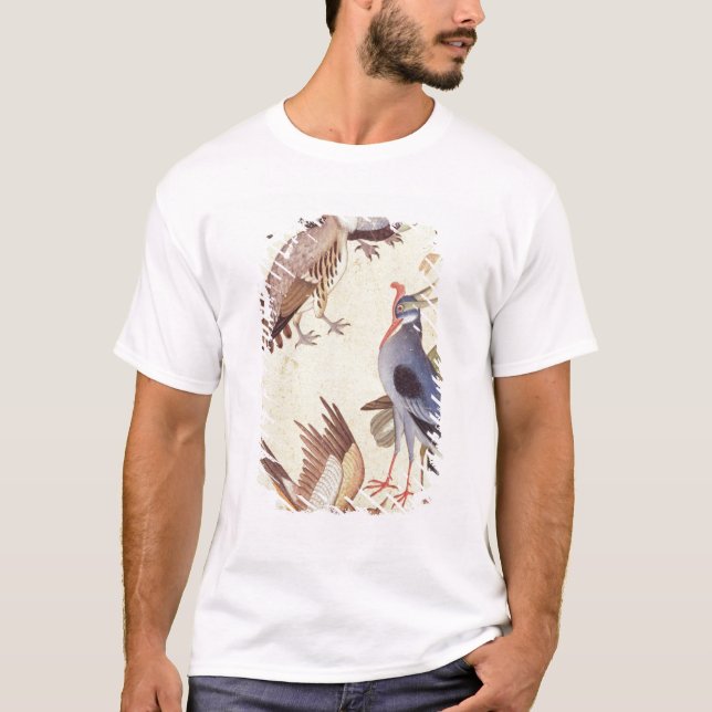 Camiseta Dez pássaros (Frente)