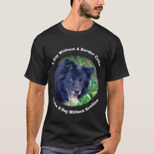 Camiseta Dia de Collie de Fronteira Sem