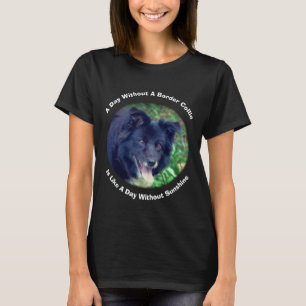 Camiseta Dia de Collie de Fronteira Sem