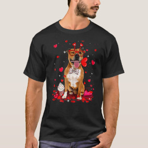 Camiseta Dia de os namorados Brilhante Picolé Cachorro Cost
