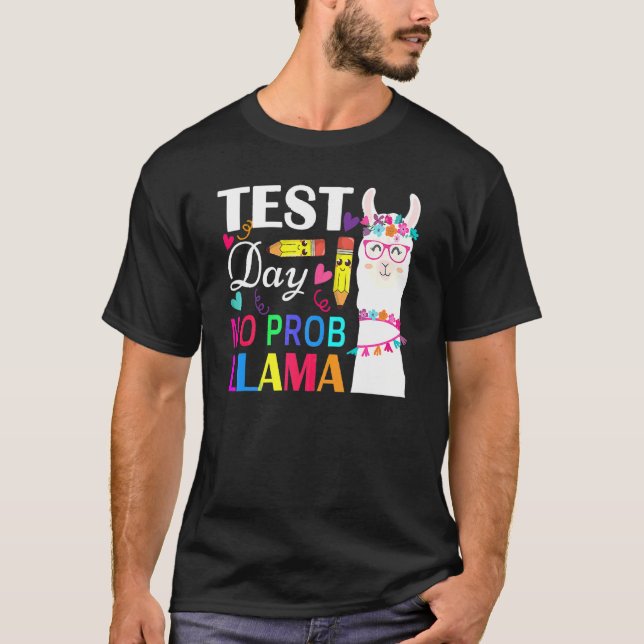Camiseta Dia de Teste de Lama sem Prob Lama Teste de Profes (Frente)