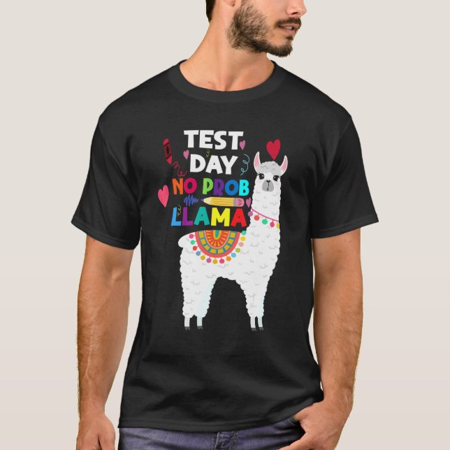 Camiseta Dia de Teste de Professores Sem Prob Lama Professo (Frente)