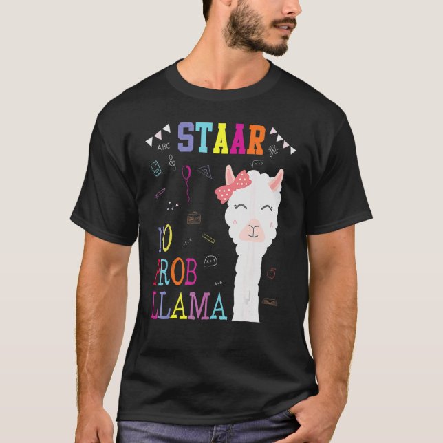 Camiseta Dia de Teste Llama Professor Aluno Llama Dia de Te (Frente)