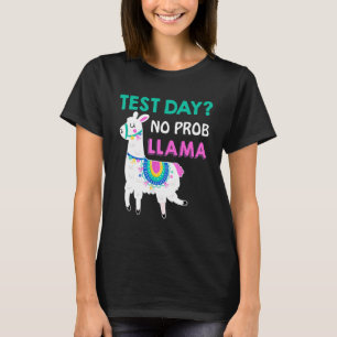 Camiseta Dia de Teste Sem Prob Lama Llama Dia de Teste do P