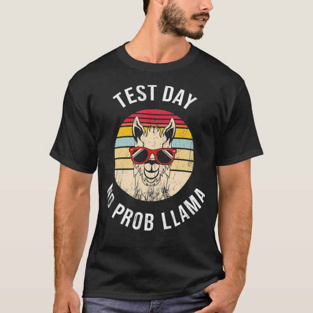 Camiseta Dia de Teste Sem Prob Lama Probllama Engraçado Tes (Frente)