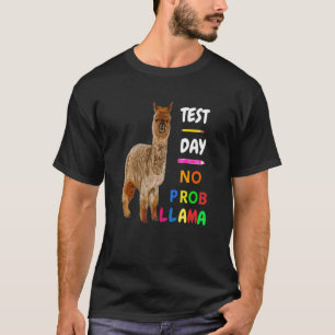 Camiseta Dia de Teste Sem Prob Llama Llama Dia de Teste do