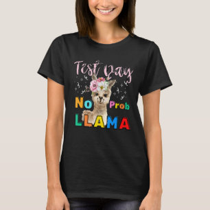 Camiseta Dia de Teste Sem Prob Llama Llama Professor Dia 1