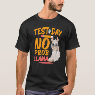 Camiseta Dia de Teste Sem Prob Llama Llama Professor e Test