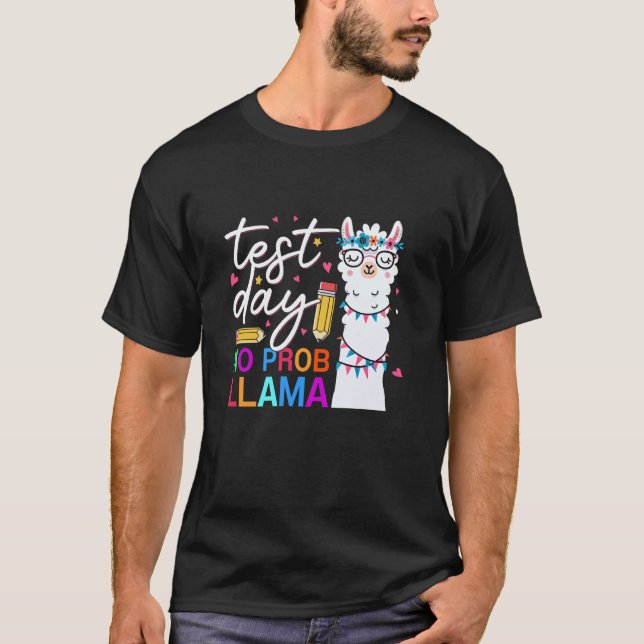Camiseta Dia de Teste Sem Prob-llama Professor Aluno Dia de (Frente)