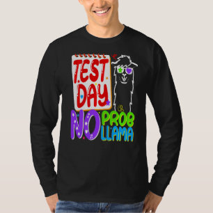 Camiseta Dia de Teste Sem Prob Llama Professor Dia de Teste