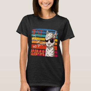 Camiseta Dia de Teste Sem Prob Llama Professor Piada