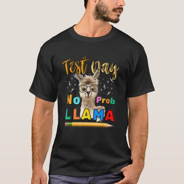 Camiseta Dia de Teste Sem Prob Llama Teste de Professores D (Frente)