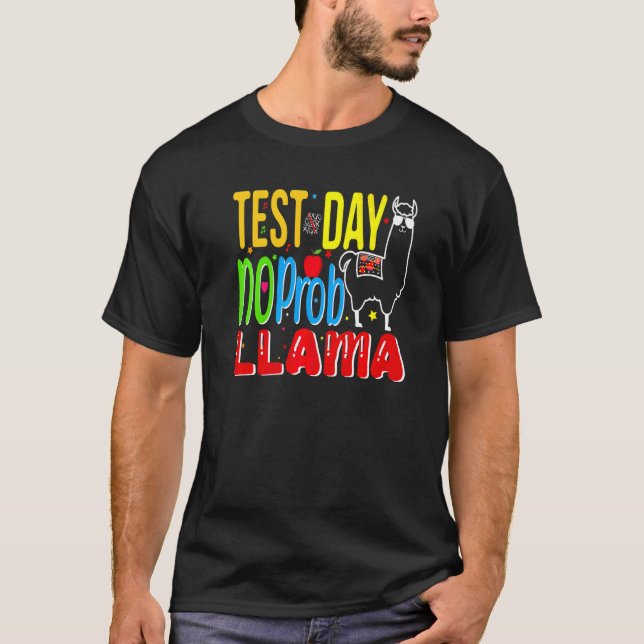 Camiseta Dia de Teste Sem Problema Dia de Teste Para Profes (Frente)
