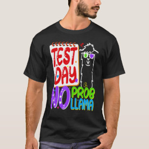 Camiseta Dia de Teste Sem Problema Dia de Teste Para Profes