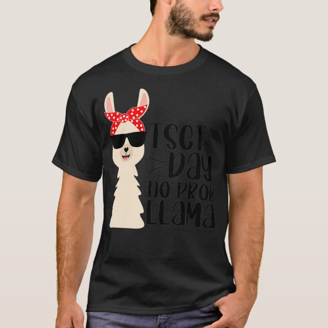 Camiseta Dia de Teste Sem Problema Engraçado Teste de Profe (Frente)
