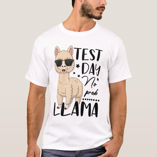Camiseta Dia de Teste Sem Teste Prob Llama Estudante Teste  (Frente)
