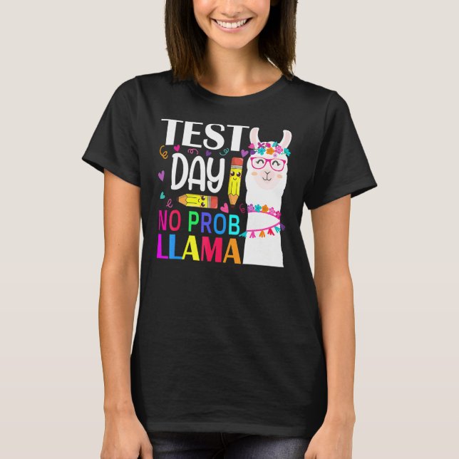 Camiseta Dia de Teste Sem Teste Prob Llama Professor Teste  (Frente)