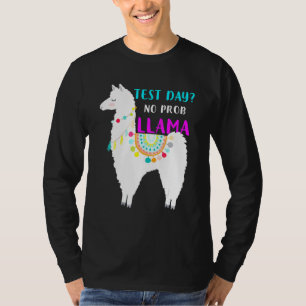 Camiseta Dia de Teste Sem Teste Prob Llama Teste do Profess