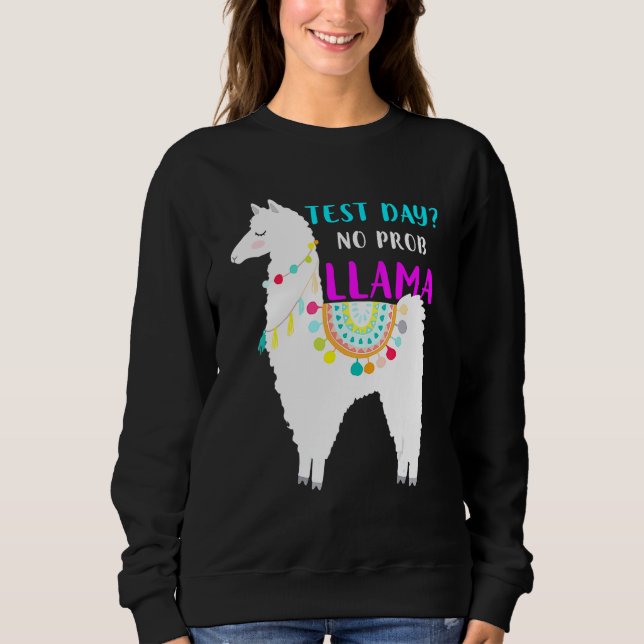 Camiseta Dia de Teste Sem Teste Prob Llama Teste do Profess (Frente)